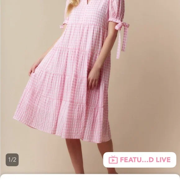 Fantastic Fawn Pink Checkered Midi Dress - Picture 4 of 4